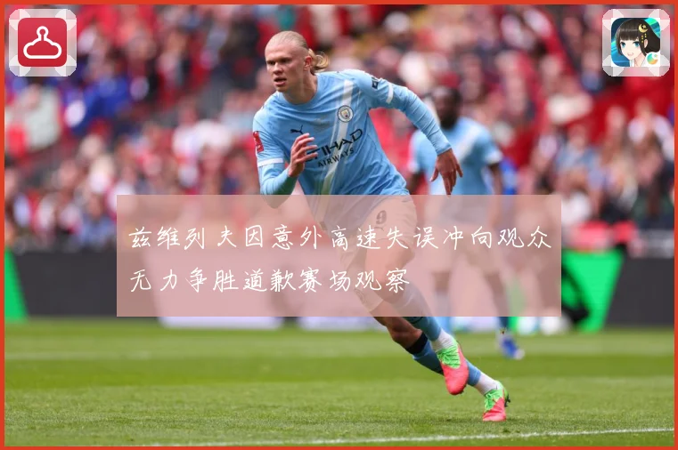 兹维列夫因意外高速失误冲向观众无力争胜道歉赛场观察